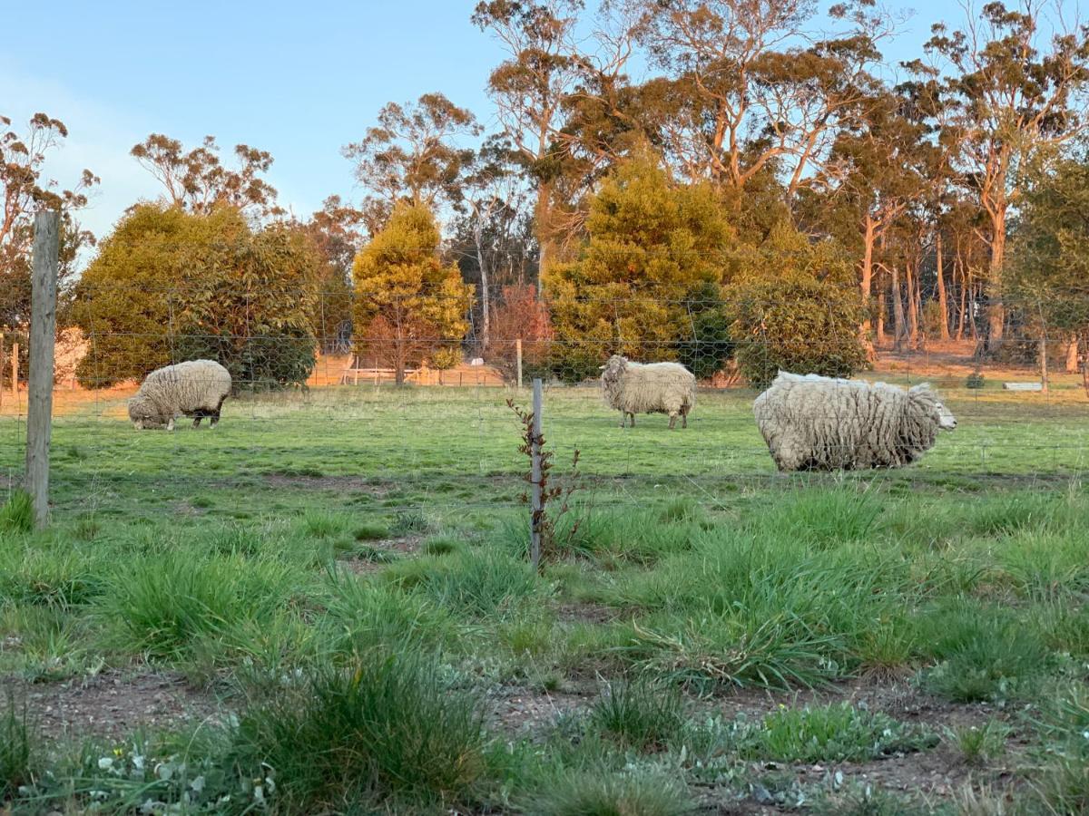 Hotel Couples Retreat With Mountain View Near Hobart Sandford Exterior foto
